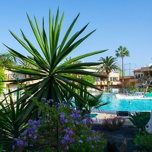 Apartamento Planta baja